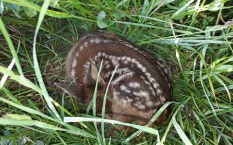 1af9d0f6-5448-4018-9d66-6393786be5e1-1